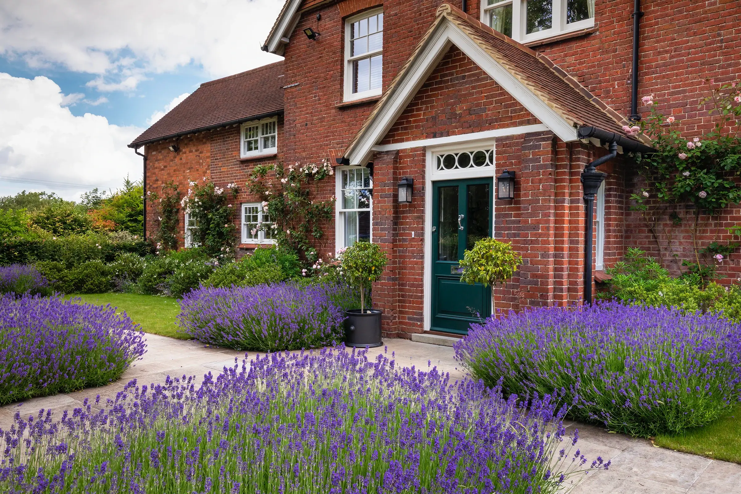 A beautiful Chilterns garden in the sunshine