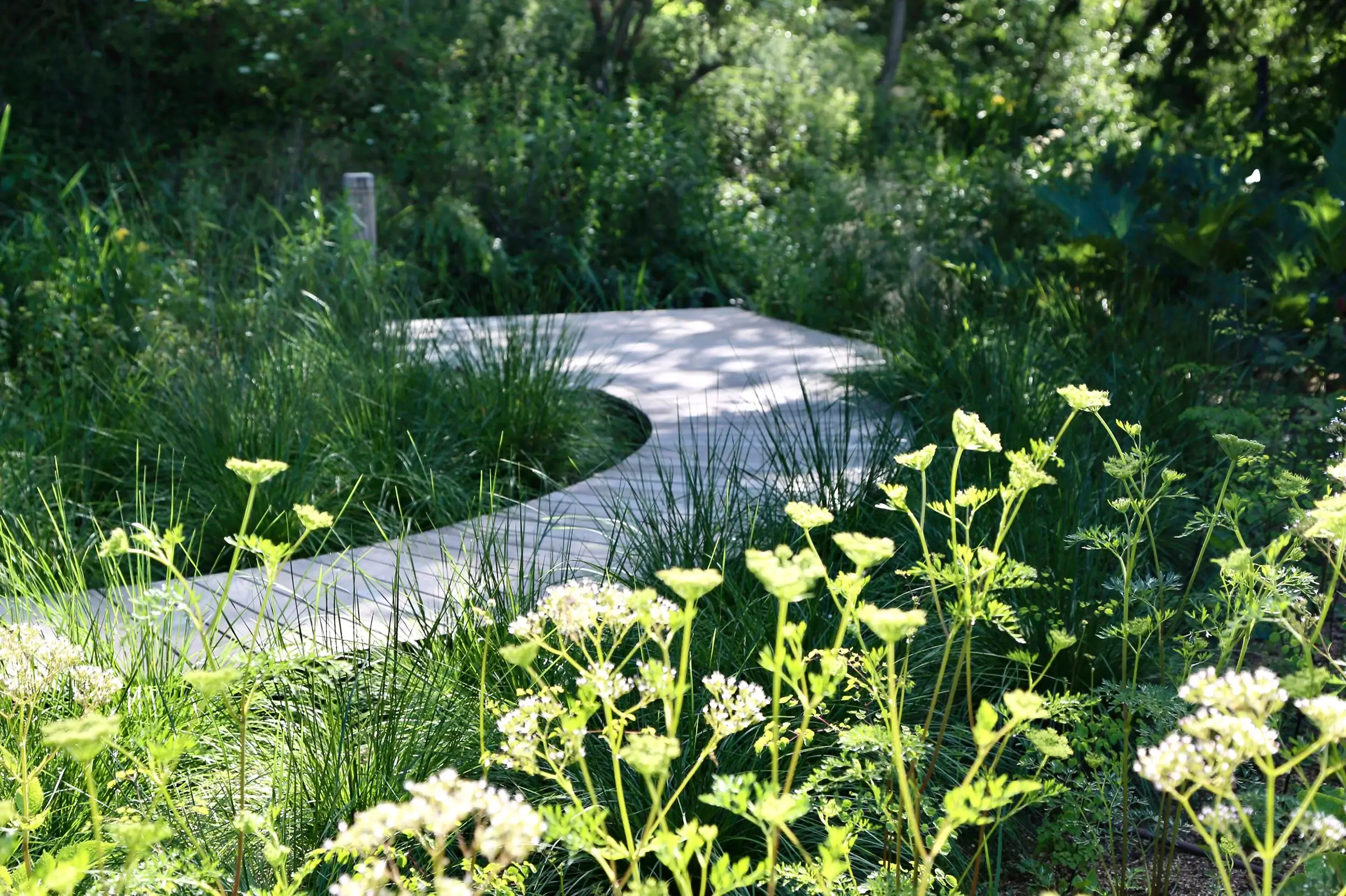 A Hertfordshire garden by a river's edge in the sunshine