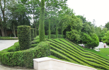 A formal Hampstead garden with instant impact and drama