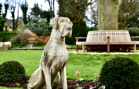 A large garden in Hertfordshire in the sunshine