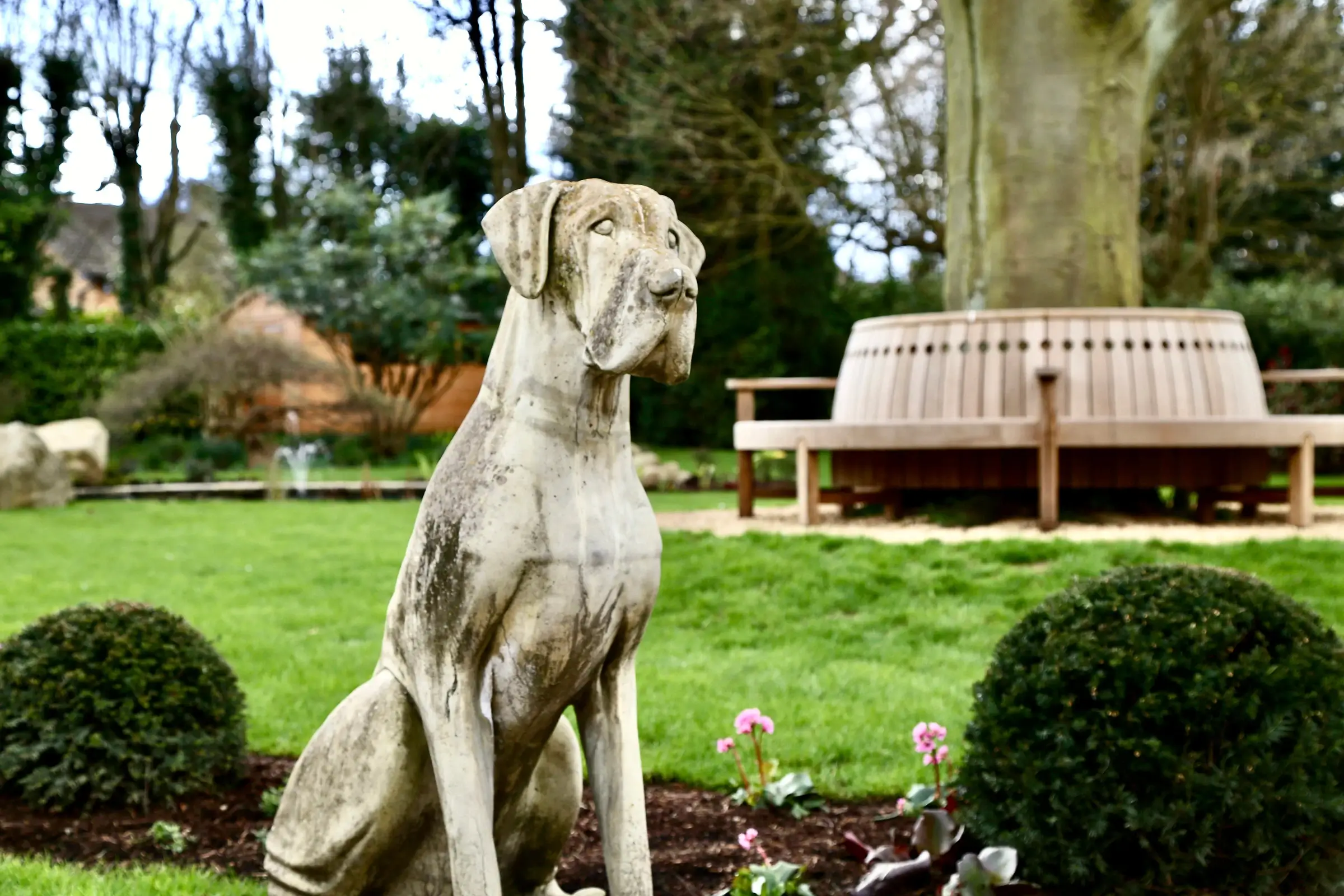 A large garden in Hertfordshire in the sunshine