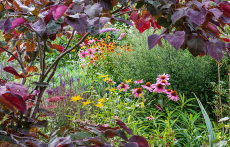 A garden using plants with origins from all over the world