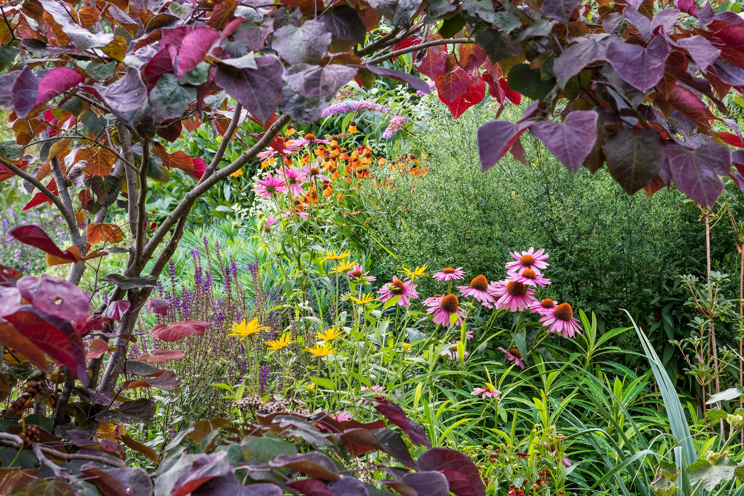 A garden using plants with origins from all over the world