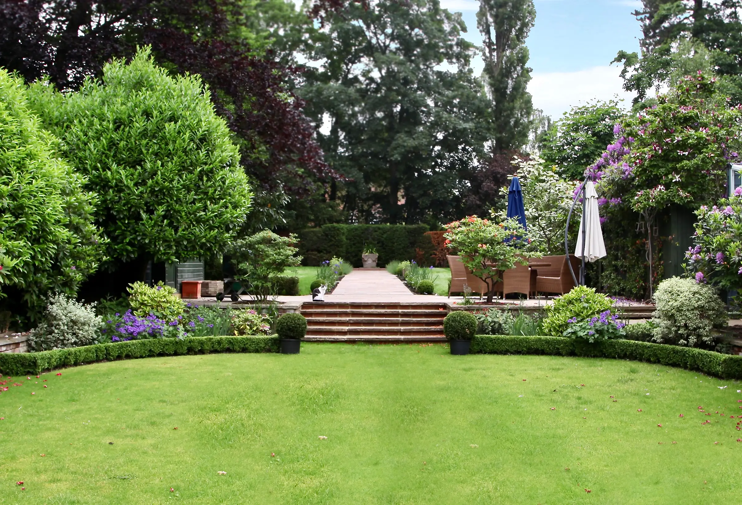 A beautiful 1930's garden in the sunshine