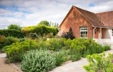 A beautiful Chilterns garden in the sunshine