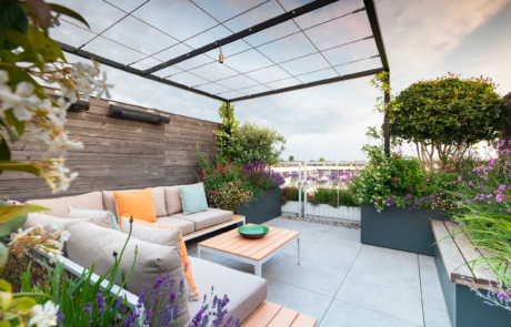 A city rooftop garden by Rosemary Coldstream