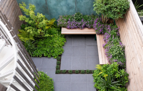 A garden with flowering plants that send waves of colour through the space as they come into bloom through the year.