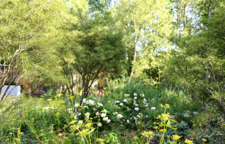 A Hertfordshire garden by a river's edge in the sunshine