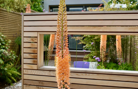 A garden with modern, soft and airy planting with splashes of colour.