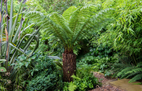 A garden using plants with origins from all over the world