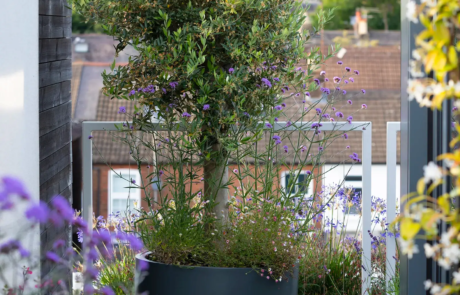 A city rooftop garden by Rosemary Coldstream