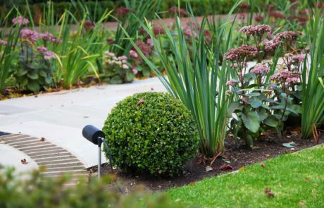 A beautiful 1930's garden in the sunshine