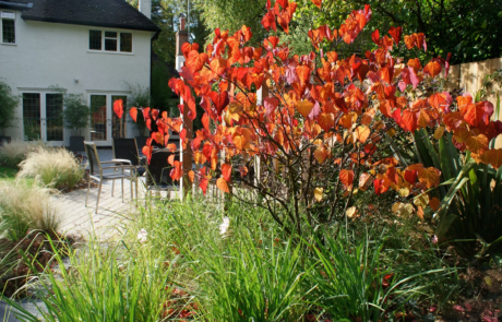 A large family garden in Harpenden