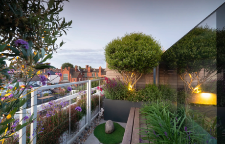 A city rooftop garden by Rosemary Coldstream