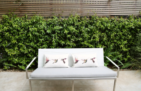 A shady London garden was with limestone paving and splashes of colour