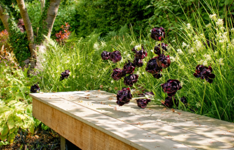 A large family garden in Harpenden