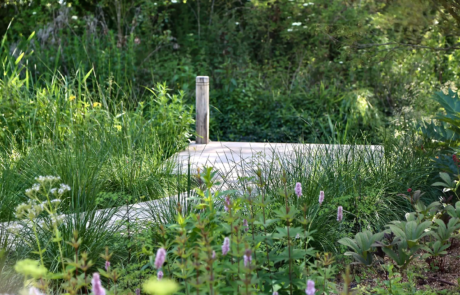 A Hertfordshire garden by a river's edge in the sunshine