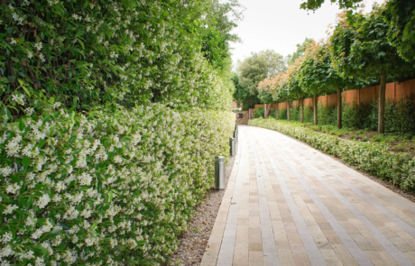 A formal Hampstead garden with instant impact and drama