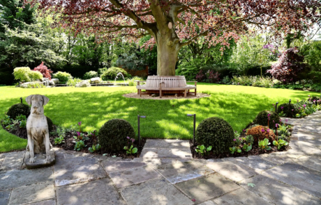 A large garden in Hertfordshire in the sunshine