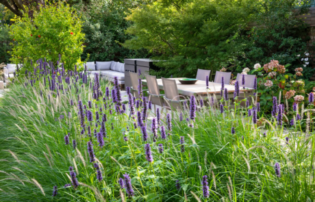 A modern garden in Hampstead designed by Rosemary Coldstream