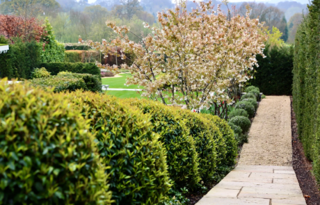 An elevated garden in Hertfordshire with expansive views to a borrowed landscape.