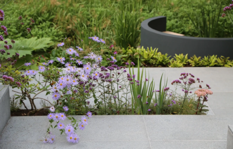 A modern courtyard garden in a dramatic setting.