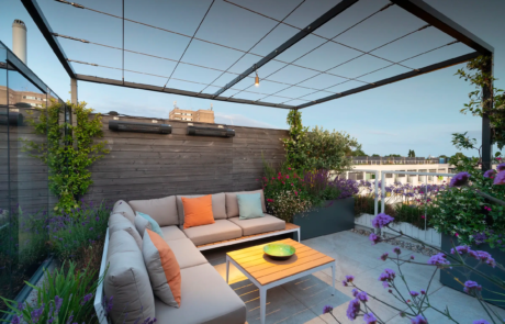 A city rooftop garden by Rosemary Coldstream