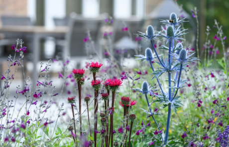 A garden that exudes classical formality, softened by romantic, billowy planting