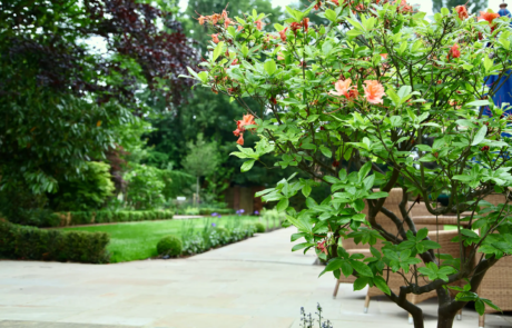 A beautiful 1930's garden in the sunshine