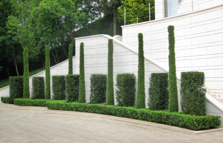 A formal Hampstead garden with instant impact and drama