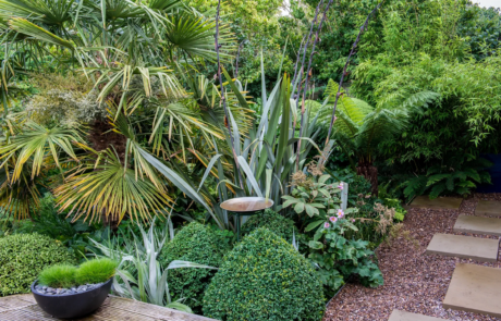 A garden using plants with origins from all over the world