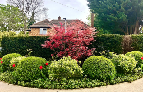 An elevated garden in Hertfordshire with expansive views to a borrowed landscape.