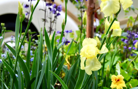 A Jubilee-themed show garden by Rosemary Coldstream