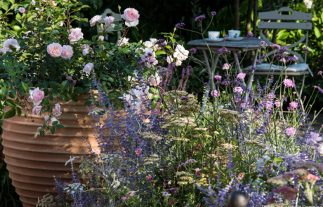 "Best of Both Worlds", a show garden by Rosemary Coldstream