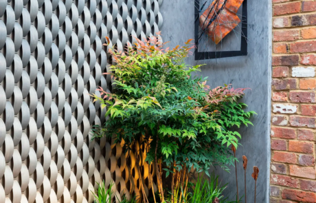 A tranquil courtyard garden by Rosemary Coldstream