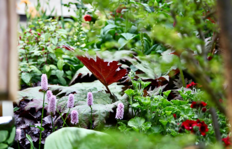 A Jubilee-themed show garden by Rosemary Coldstream