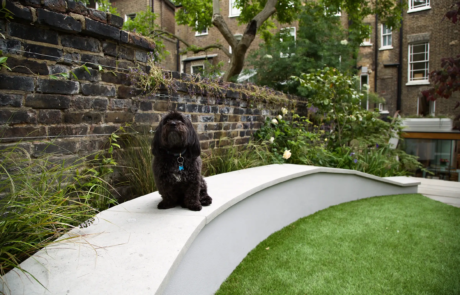 A shady London garden was with limestone paving and splashes of colour