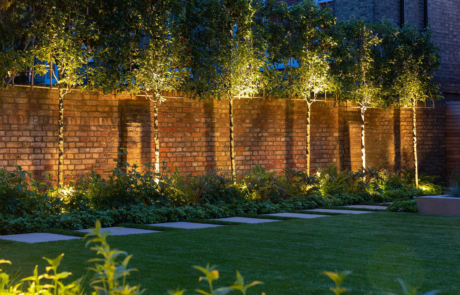 A modern garden in Hampstead designed by Rosemary Coldstream