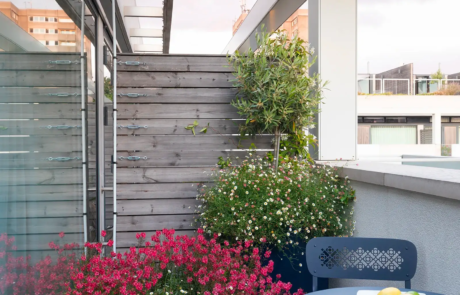 A city rooftop garden by Rosemary Coldstream