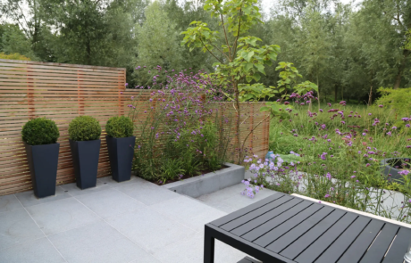 A modern courtyard garden in a dramatic setting.