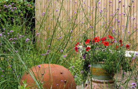 A peaceful garden that's a haven for wildlife, Nestled in central London