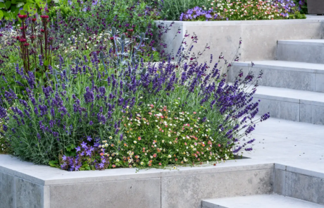 A garden that exudes classical formality, softened by romantic, billowy planting