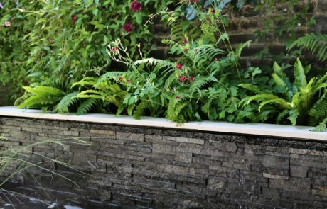 A shady London garden was with limestone paving and splashes of colour