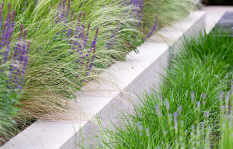 A modern garden in Hampstead designed by Rosemary Coldstream