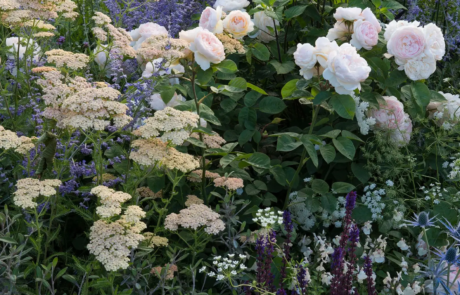 "Best of Both Worlds", a show garden by Rosemary Coldstream