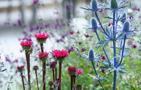 A garden that exudes classical formality, softened by romantic, billowy planting