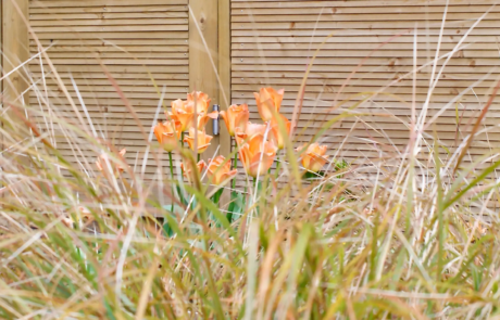 A large family garden in Harpenden