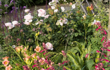 "Best of Both Worlds", a show garden by Rosemary Coldstream