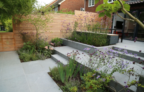 A modern courtyard garden in a dramatic setting.