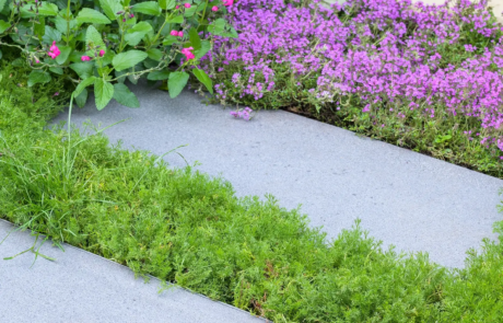 A peaceful garden that's a haven for wildlife, Nestled in central London